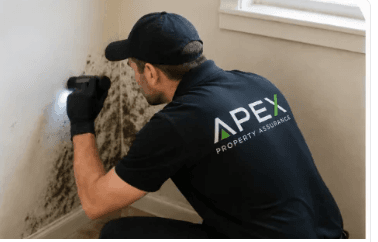A written mold inspection report with findings and lab results